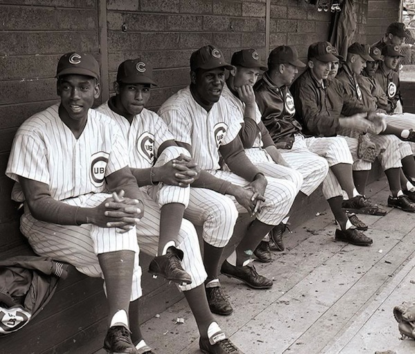 The 1962 Chicago Cub