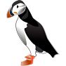 Puffin