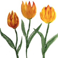 Gift Garden logo1