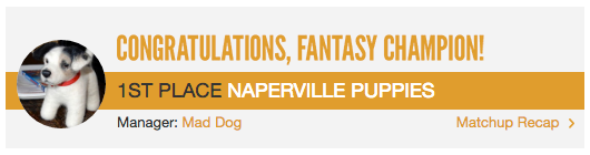 Yahoo champion banner